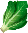 legume