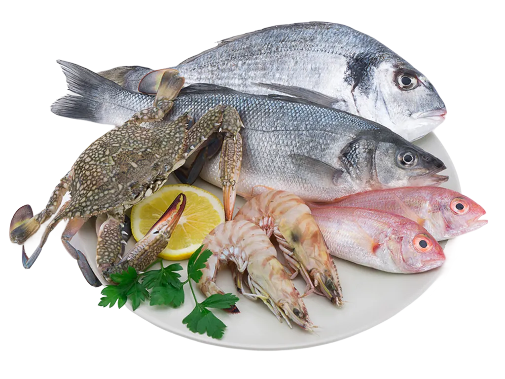 Poissons & fruits de mer