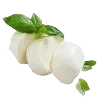 Mozzarella