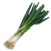Tiges d'oignon vert