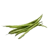 Haricot vert