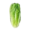 feuille Laitue