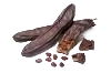 caroube